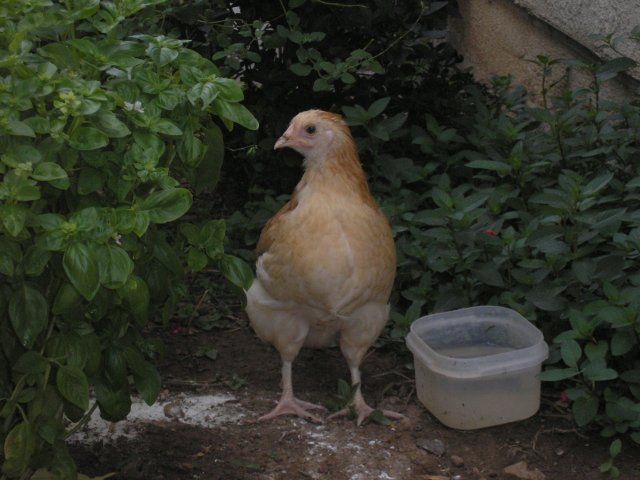 11809_july_2008_056.jpg
