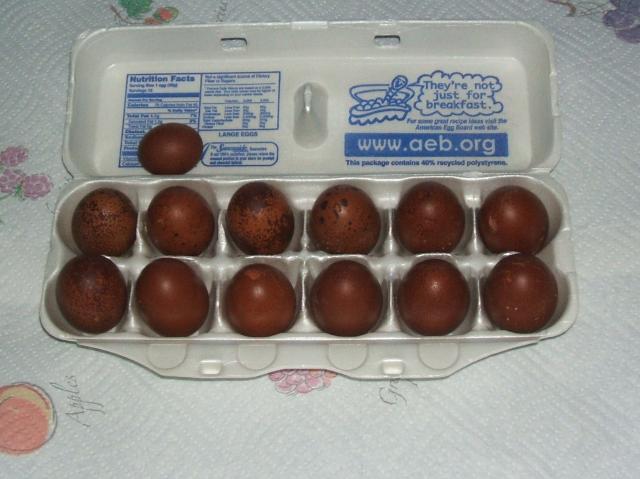 11818_3rd_gen_pullet_eggs_010.jpg