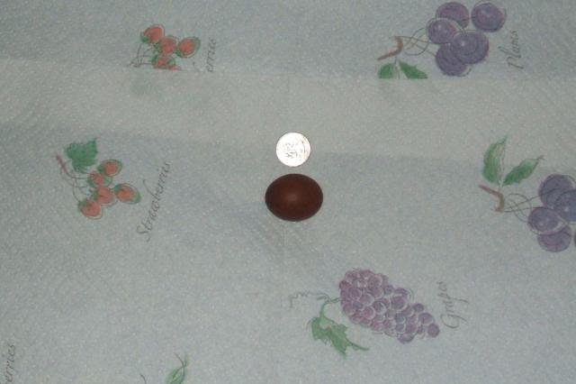 11818_3rd_gen_pullet_eggs_025.jpg