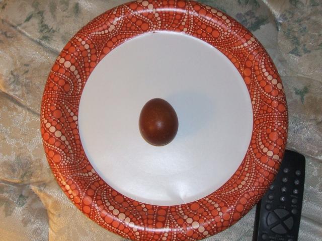11818_first_egg_3rd_gen_003.jpg