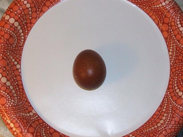 11818_first_egg_3rd_gen_003b.jpg