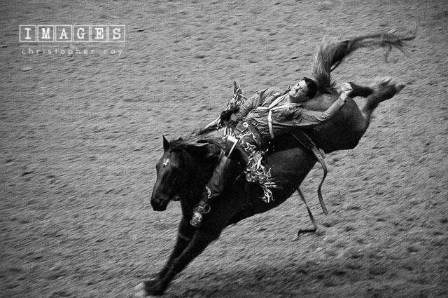 11916_fwssr-1.jpg