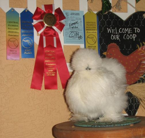 1196_img_1758.jpg