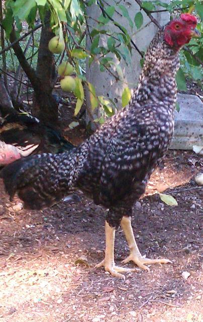 12005_imag0340.jpg