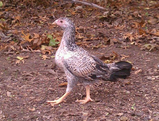 12005_imag4617-1.jpg
