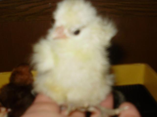 12005_j_554.jpg