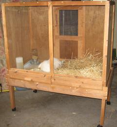 12082_broody_house.jpg