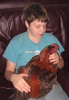 12082_cbwillie.jpg