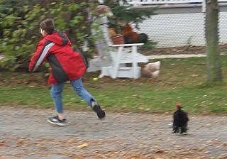 12082_chase.jpg