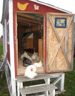 12082_cochincoop.jpg