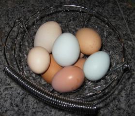 12082_egg_basket.jpg