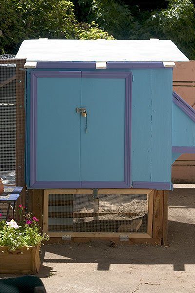12104_coop1.jpg