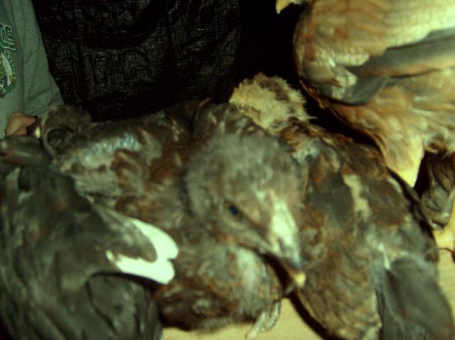 12125_051.jpg