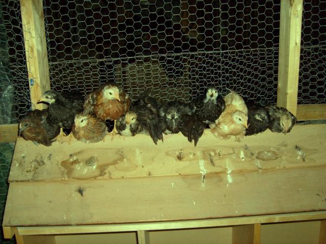 12125_052.jpg