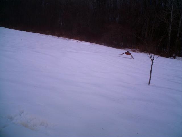 12125_077.jpg