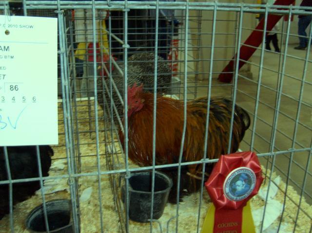 12125_ne_poultry_congress_001.jpg