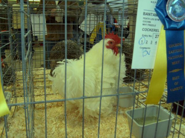 12125_ne_poultry_congress_003.jpg