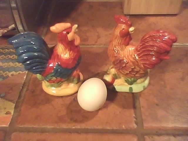 12142_first_egg_posing_with_salt_and_pepper_shakers.jpg