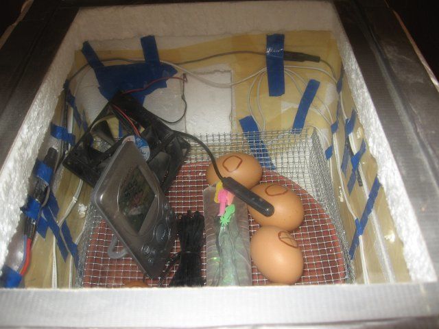 12215_incubator_002.jpg