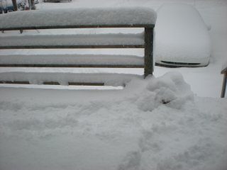 12238_dscn0633.jpg