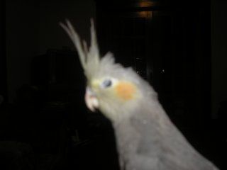 12306_pb210059.jpg