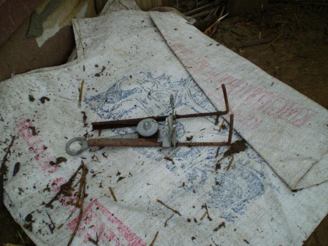 12362_2009.jpg