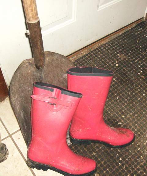 12425_the_equipment.jpg