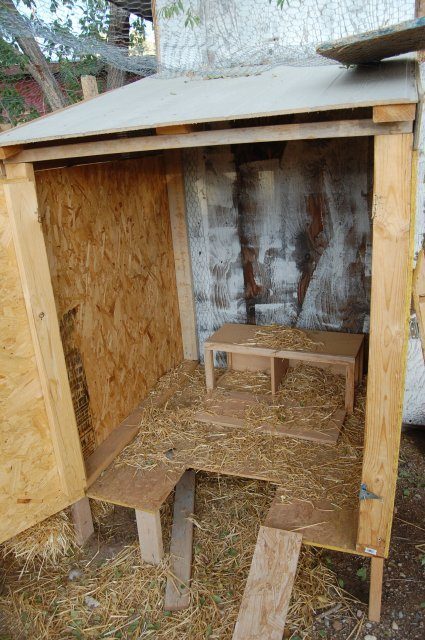 12544_suckerskitchen_broody_044.jpg