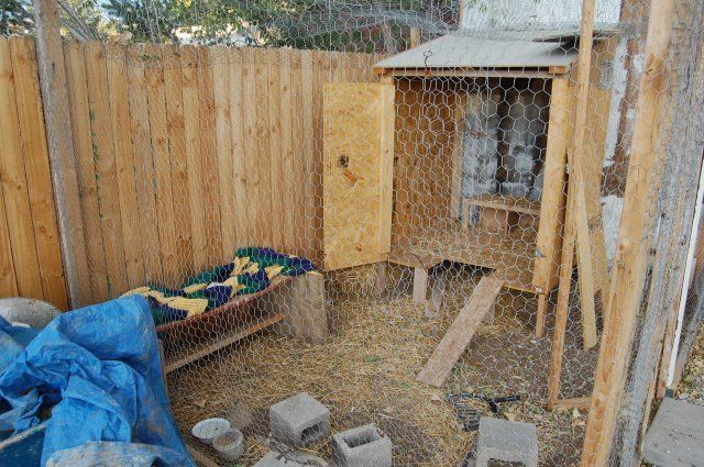 12544_suckerskitchen_broody_045.jpg