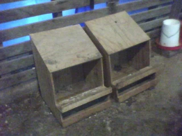 1254_nest_boxes.jpg