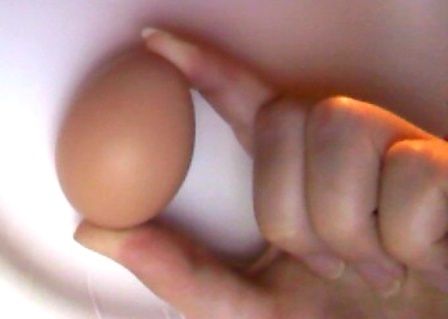12619_1st_egg.jpg