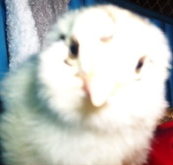 12619_hannah_week_1_closeup.jpg