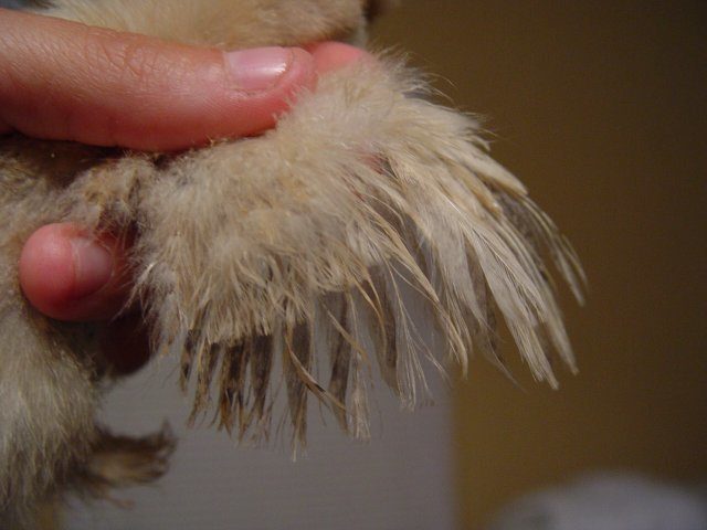 12683_dsc06771.jpg