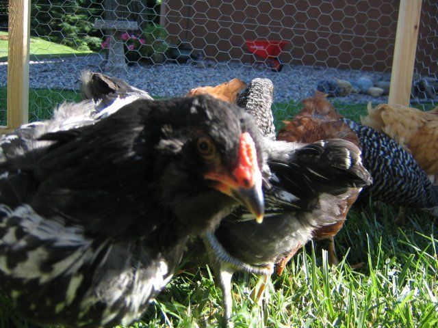 12705_046.jpg