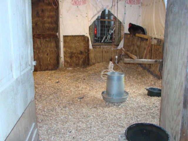 1280_dsc03230.jpg