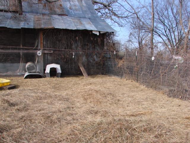 1280_dsc05859.jpg