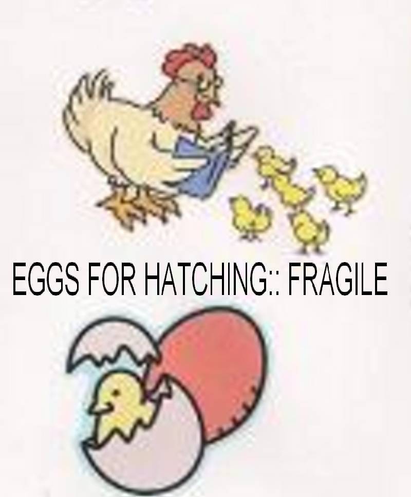 12879_eggs_for_hatching_fragile_2.jpg