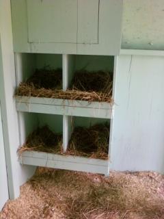 12913_chicken_coop_nest_boxes.jpg