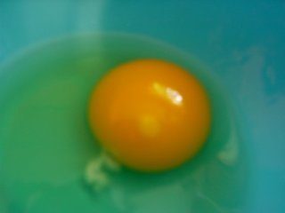 12939_eggs_003.jpg