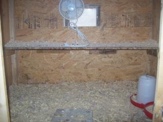 13013_chicken_coop.jpg