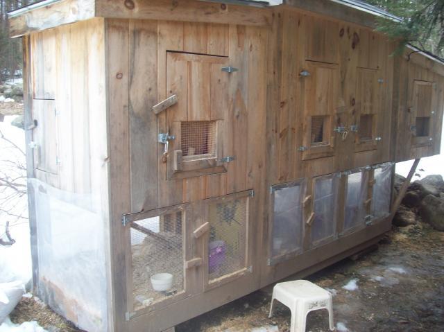 13013_chicken_coop_1.jpg