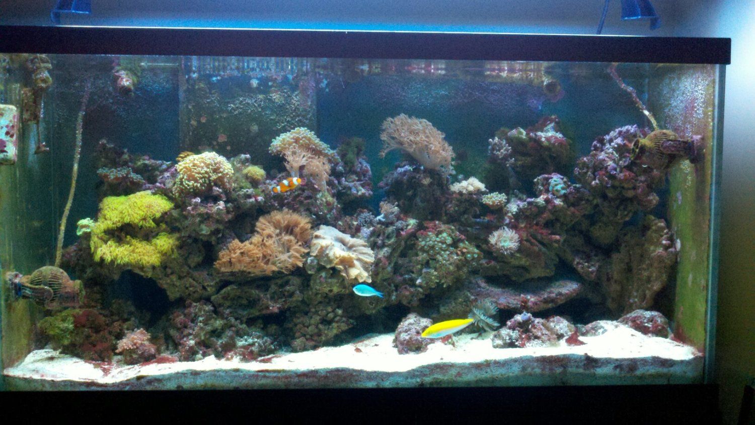 13020_90_gallon_october.jpg