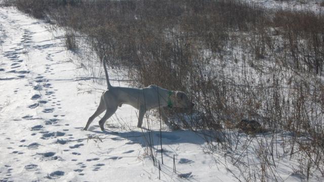 13020_drapieonpoint.jpg