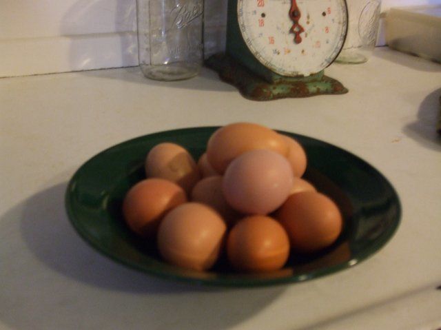 13042_dscf0823.jpg