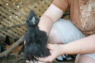 13090_mrs_featherkins.jpg