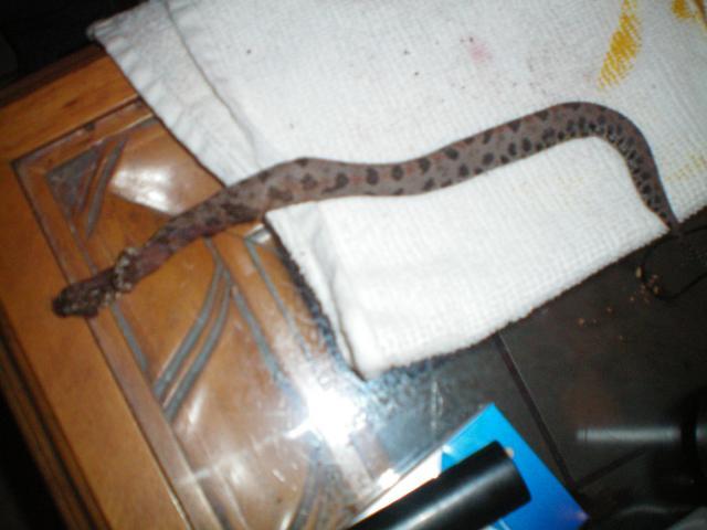 13227_001.jpg