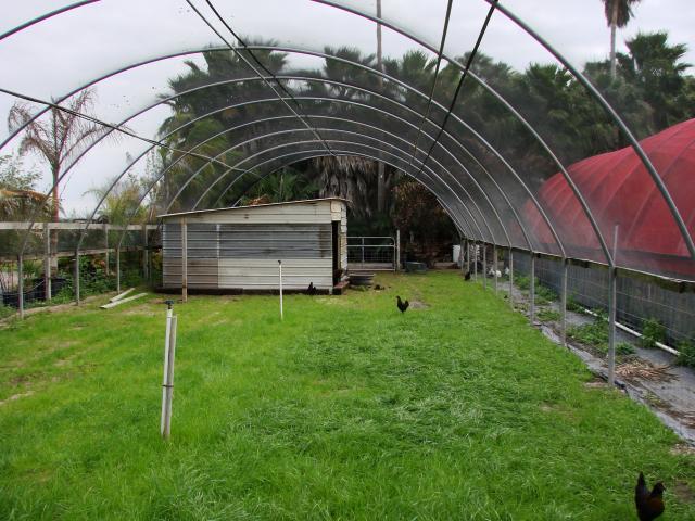 13245_dsc08715.jpg