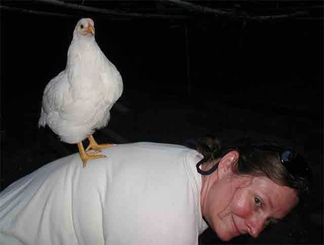 13250_boo-on-back.jpg