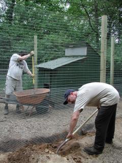 13250_digging_in_fence_2.jpg