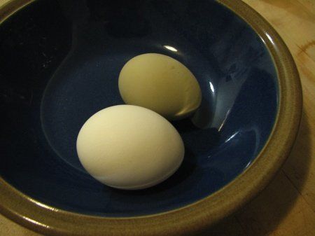 13268_2eggsinbowl.jpg